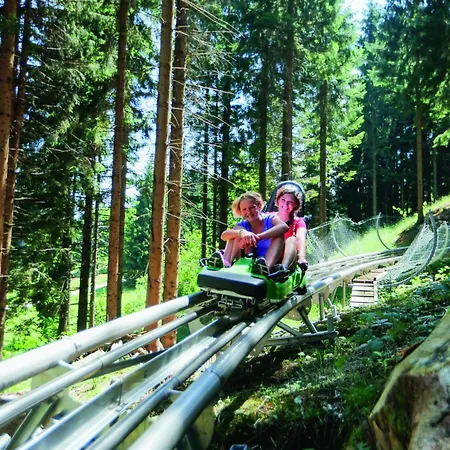 Bosco * Tarvisio